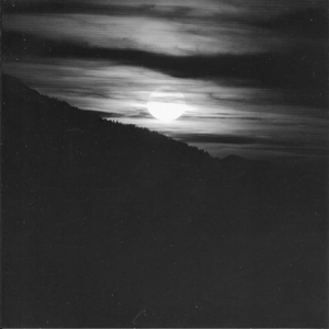 免费脚交视频网
